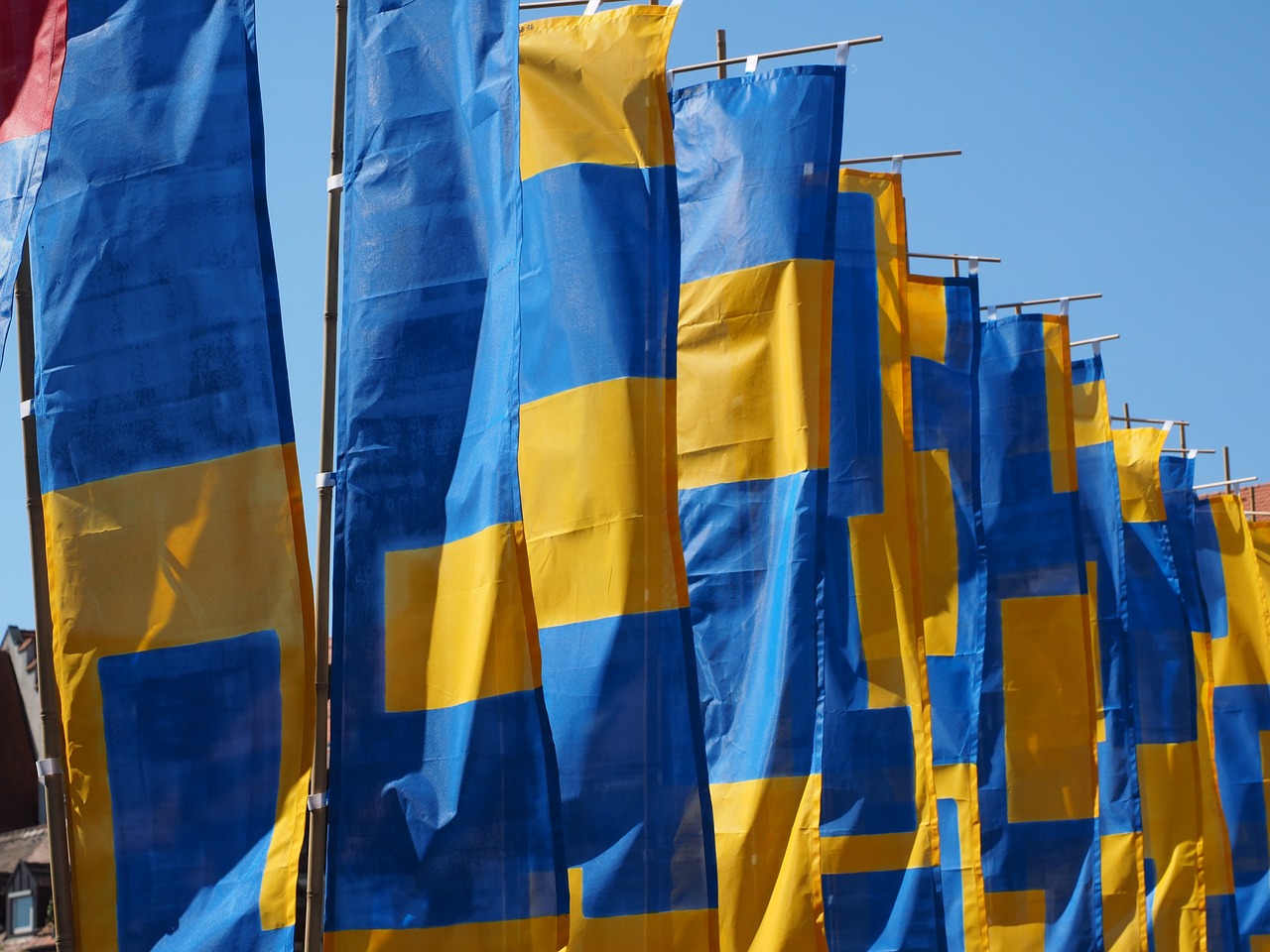 商南最新资讯概览，时事动态一网打尽