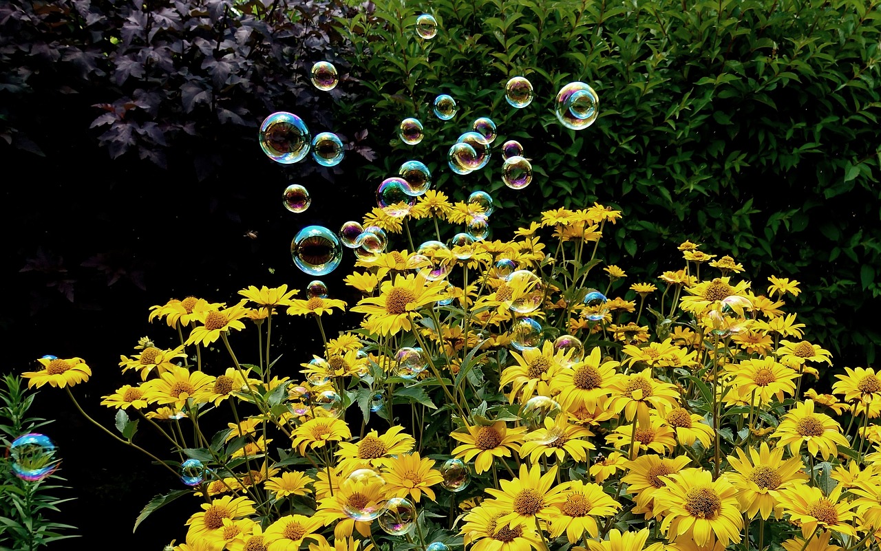 大连重工最新动态解析,全面解读最新消息