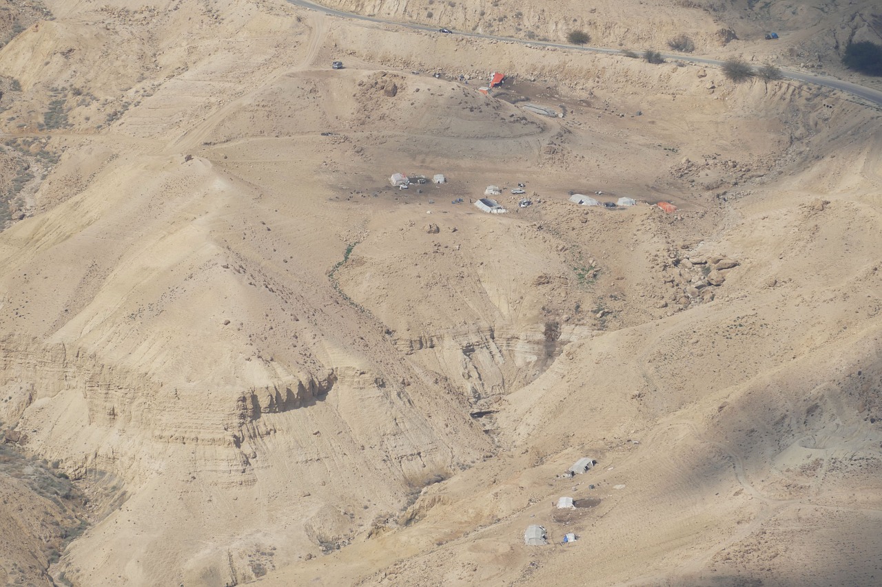 乡村变革与未来展望，村长的最新章节展望