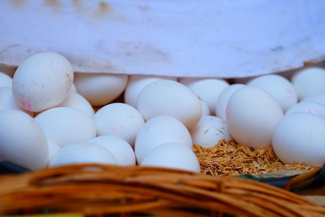 疏星淡月 第20页