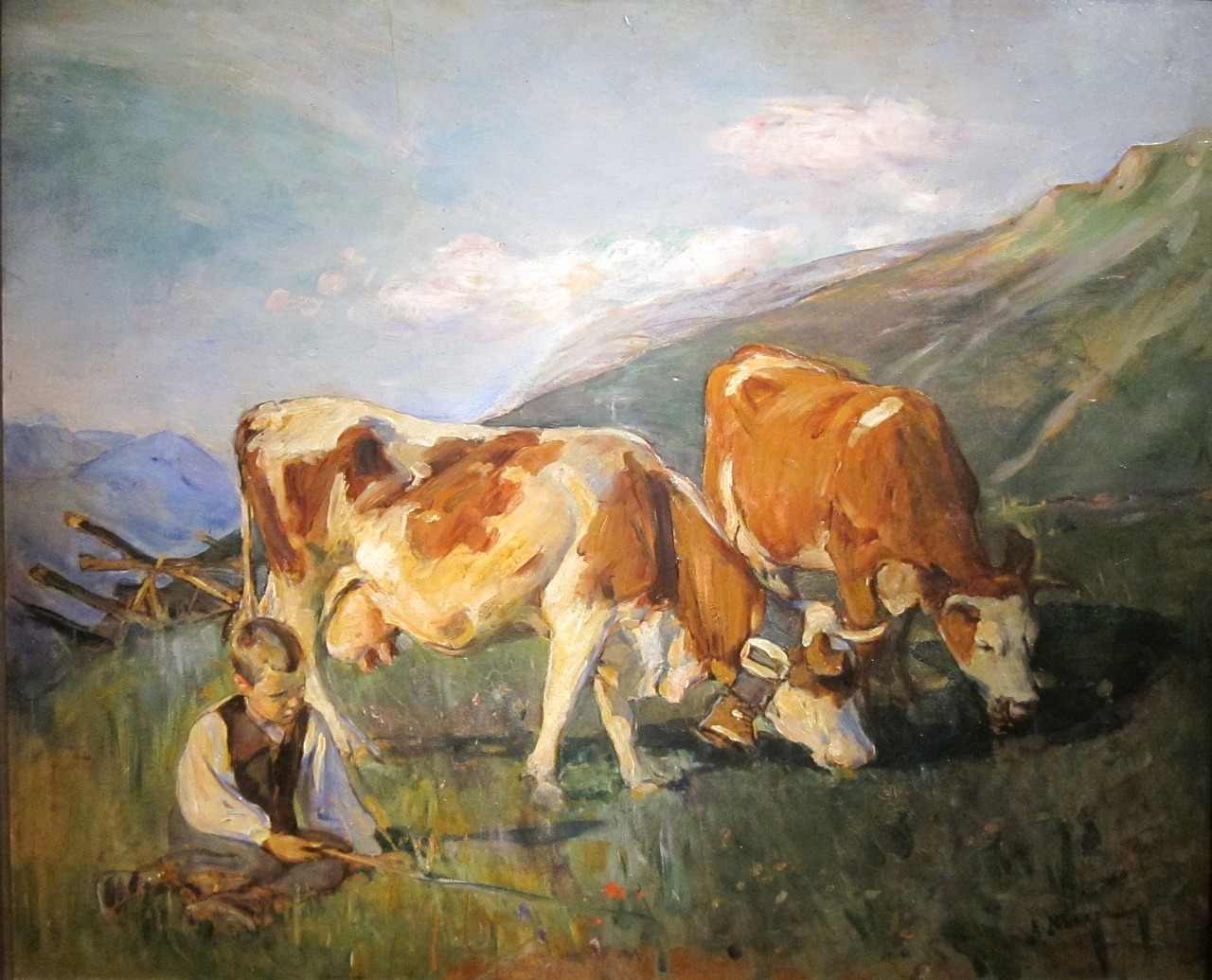 拔河比赛绘画，艺术与运动的完美交融时刻