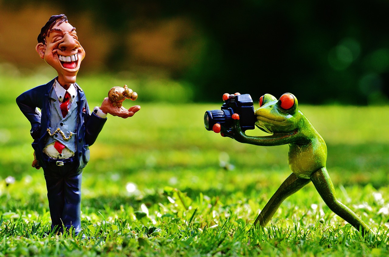 小公牛比赛，力量与速度的激情对决