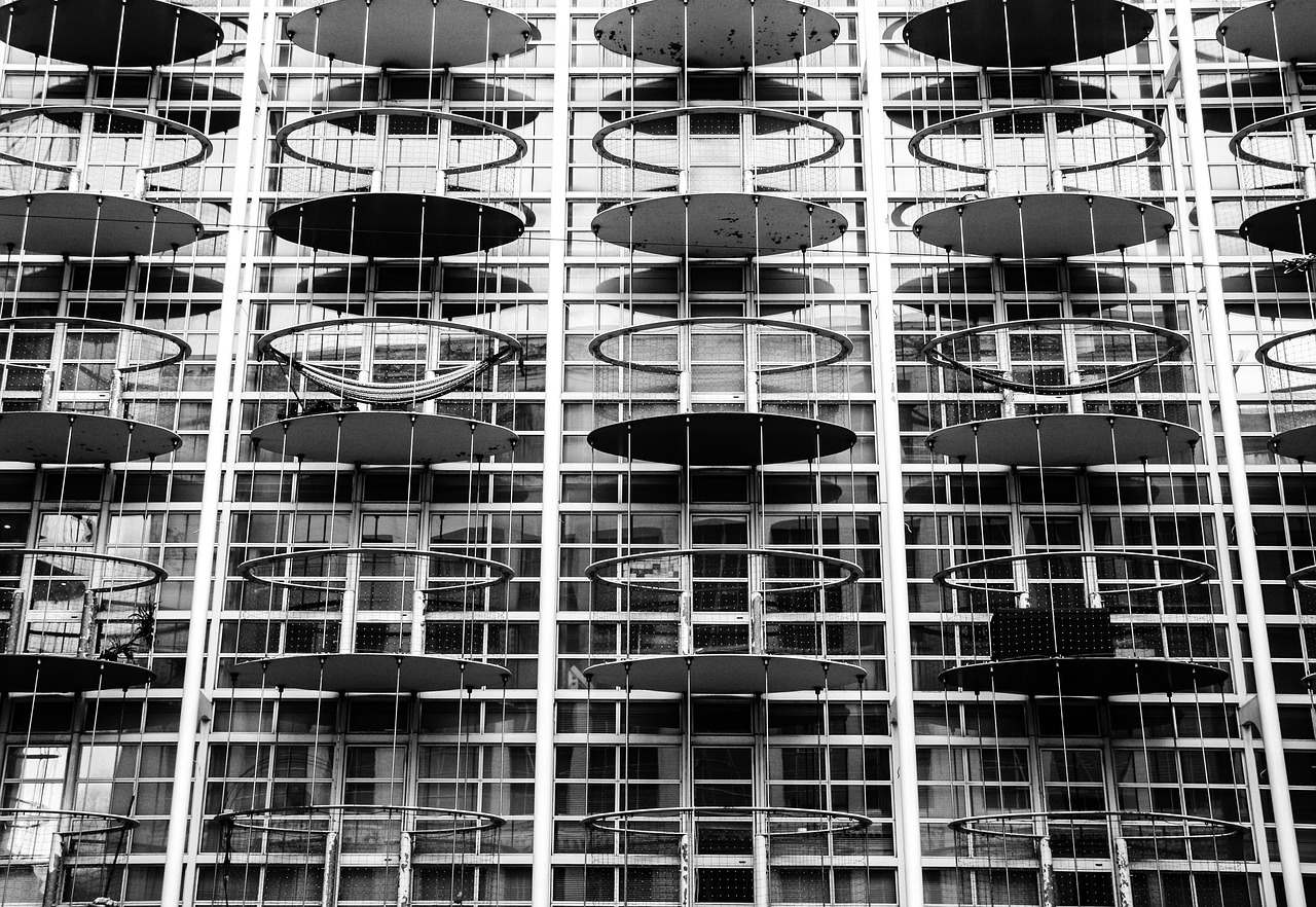 今日大豆价格行情分析与趋势预测