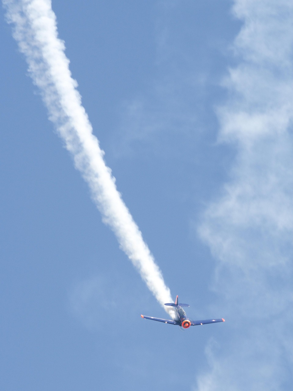 台风天鸽最新动态全面解析,影响及应对措施今日发布