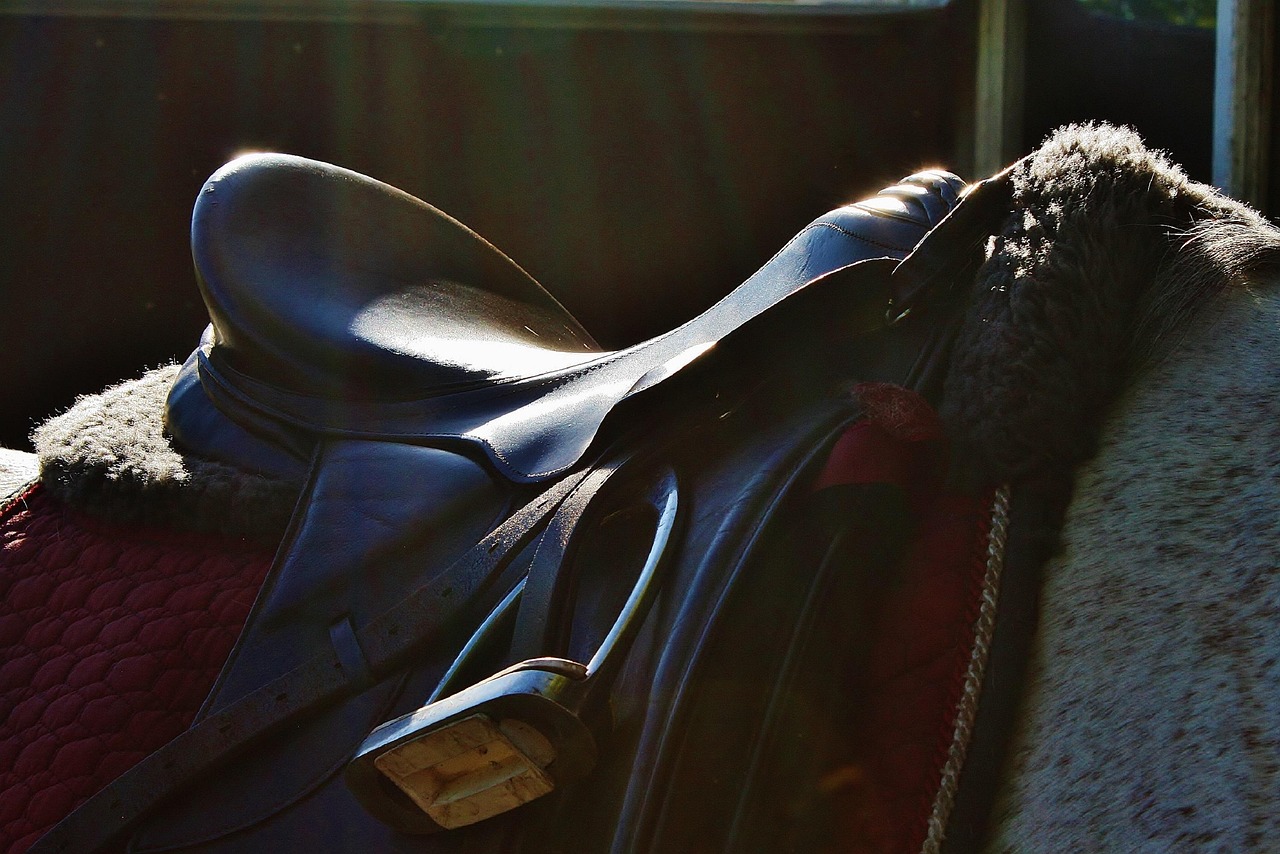 马术盛装舞步比赛，艺术与力量的视觉盛宴