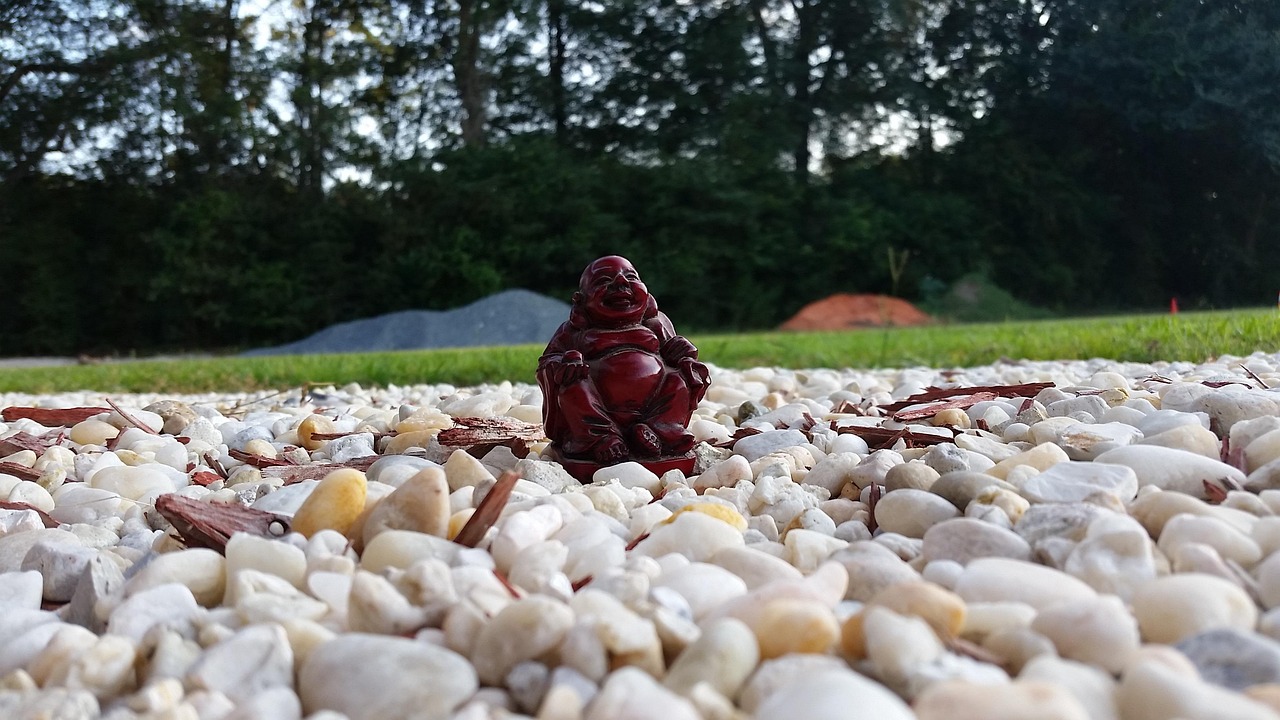 亚运徽宝最新动态揭秘，展现亚运精神，传递文化魅力