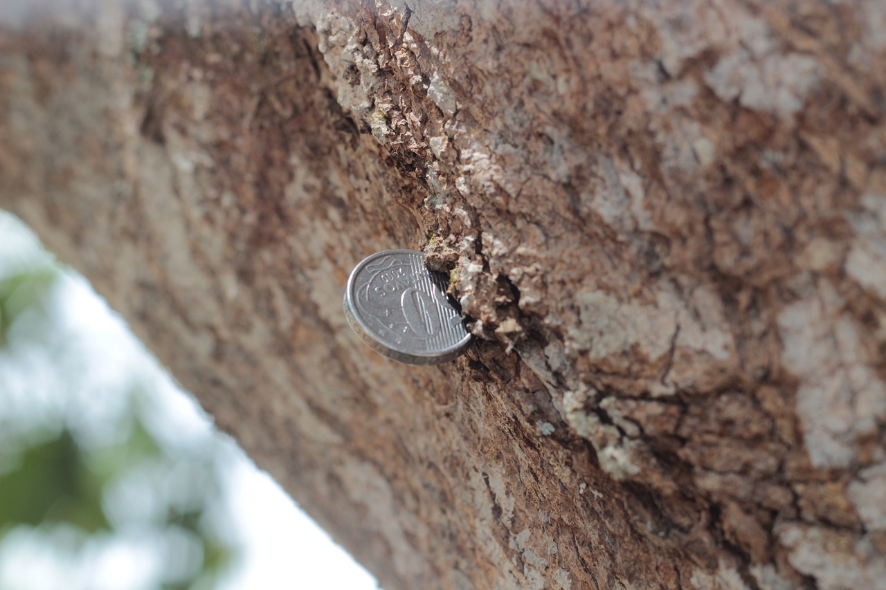 河北工资调整最新动态，重塑经济格局中的薪酬变革揭秘