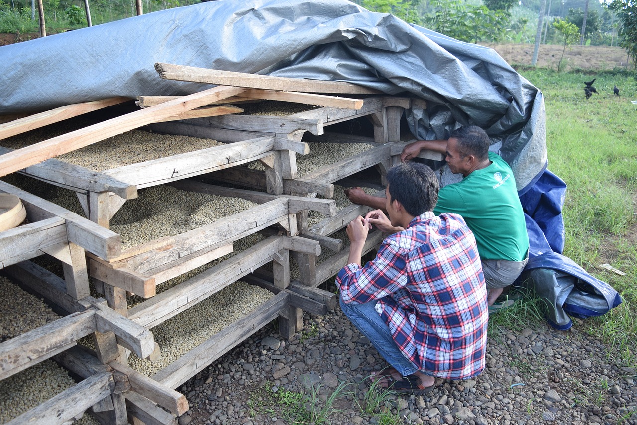 别再提起 第20页