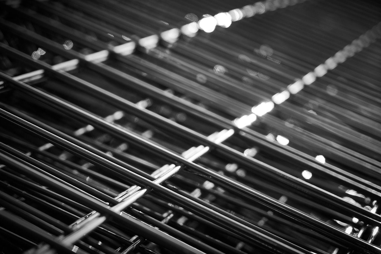 干香菇价格行情解析与趋势分析