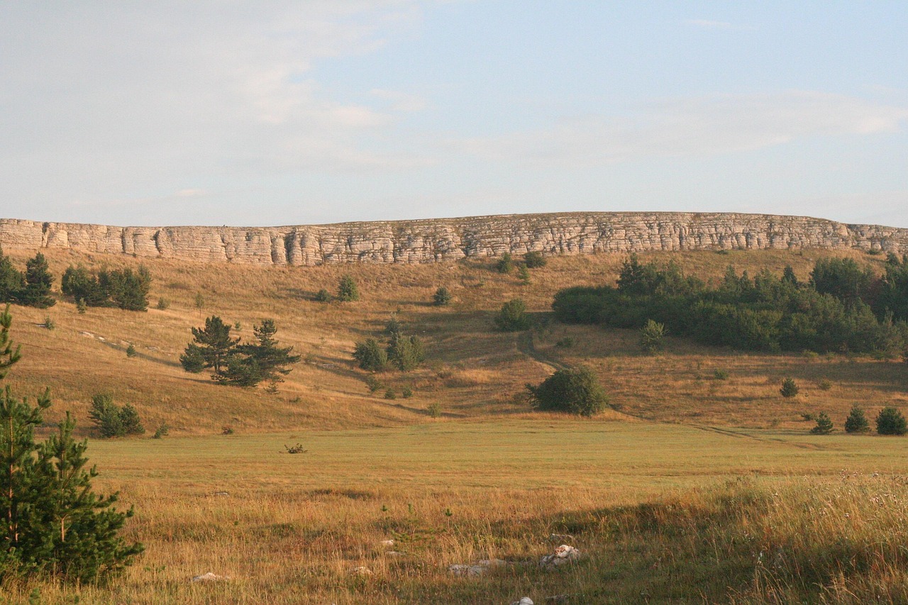 土味新视频，探索乡村文化独特魅力的旅程