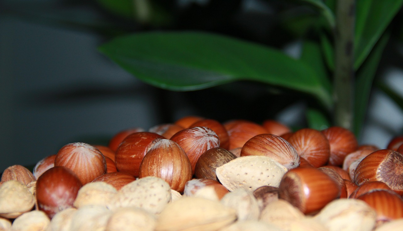 新鲜花生上市,美味与健康并行的季节来临!