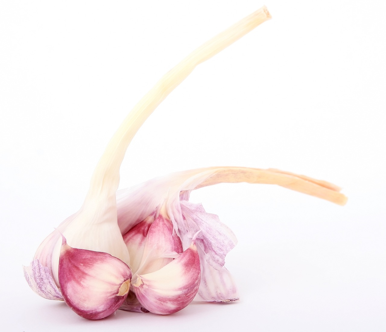 合肥地铁最新进展,建设动态、线路规划与发展展望