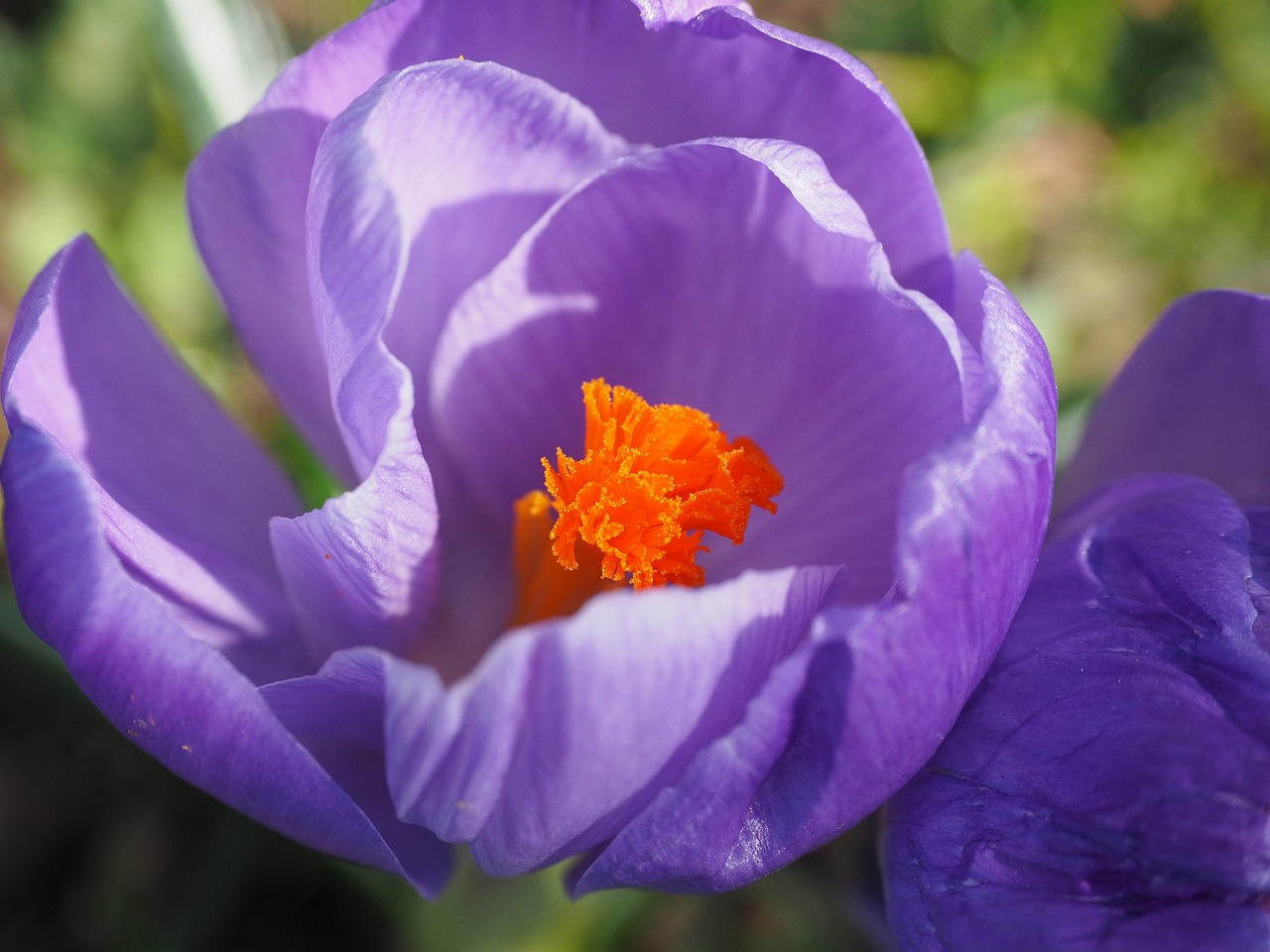 关于老民师最新动态，最新消息与进展