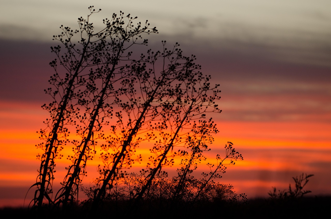 音乐领域的璀璨明珠，最新作品歌曲赏析