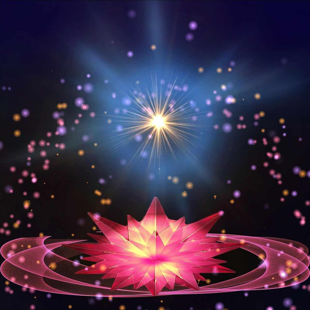 梦幻之旅，与明星共舞的美好夜晚