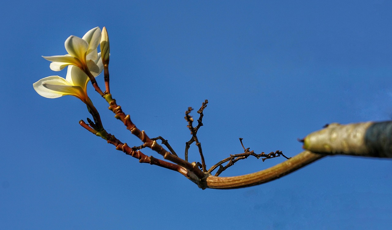 对酒当歌 第21页