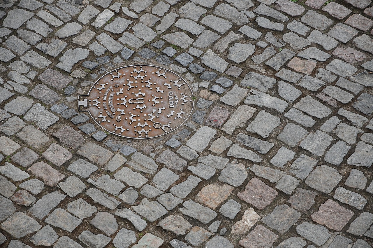 连良桂最新调查动态，揭示多维度发展在新时代背景下的现状与趋势