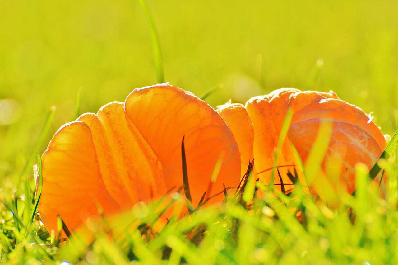 全球健康挑战最新进展深度解析，最新病情动态与全球健康挑战解析