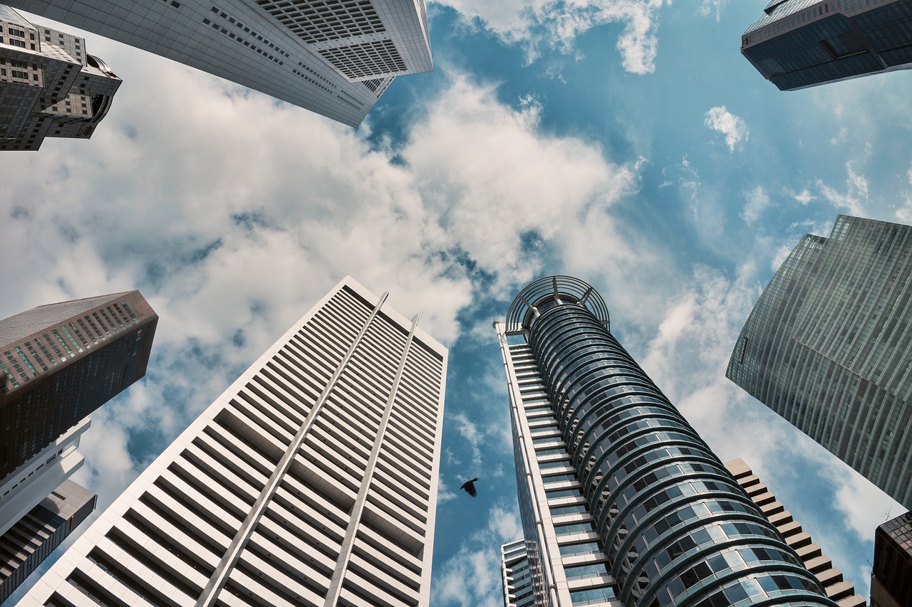 利可君片价格及其市场因素深度探讨