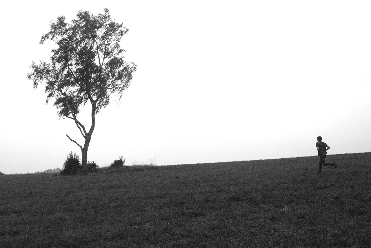 义乌邵国龙最新动态揭秘,探索与发现之旅