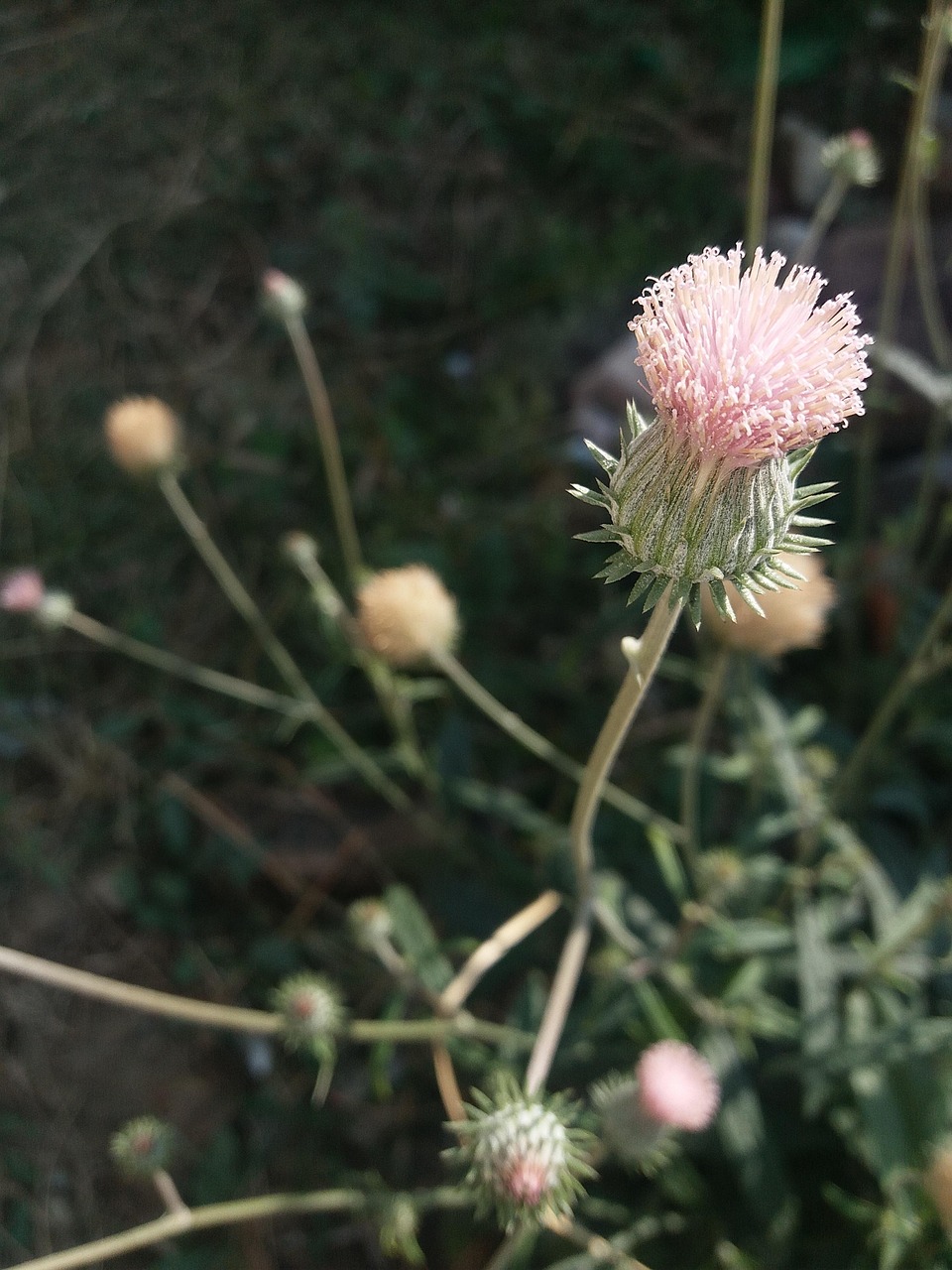 宁波医疗招聘最新动态，迈向高质量医疗人才集聚新时代