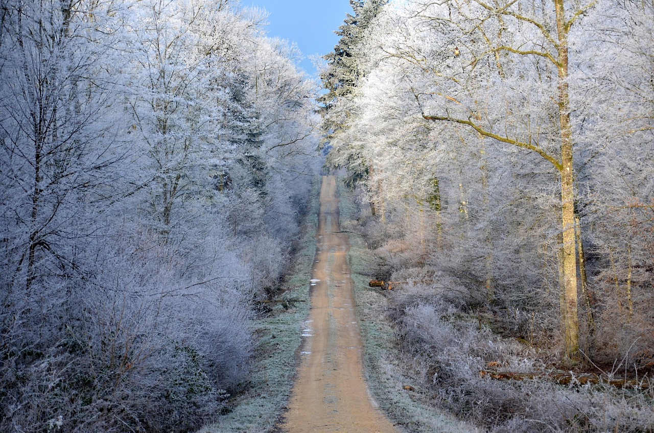旷仁山最新动态,自然与人文交融之美的探索之旅