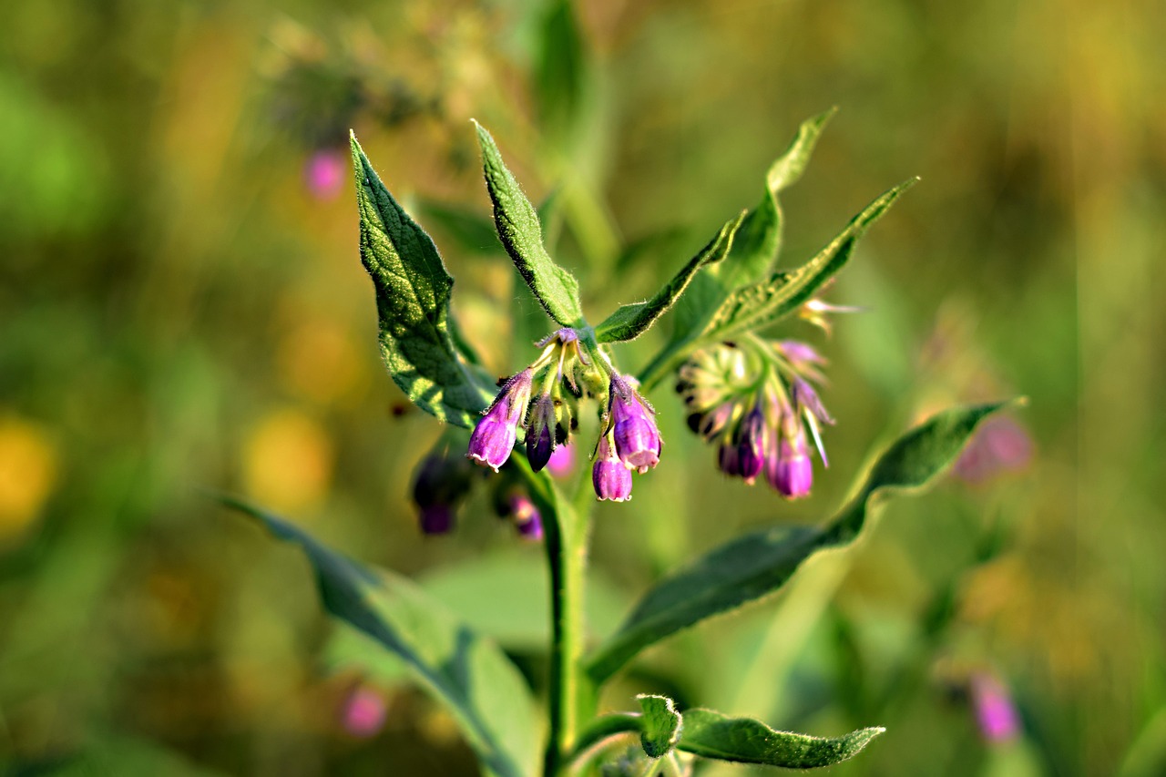 亚亚医生资讯，深度解读医疗领域最新动态与趋势