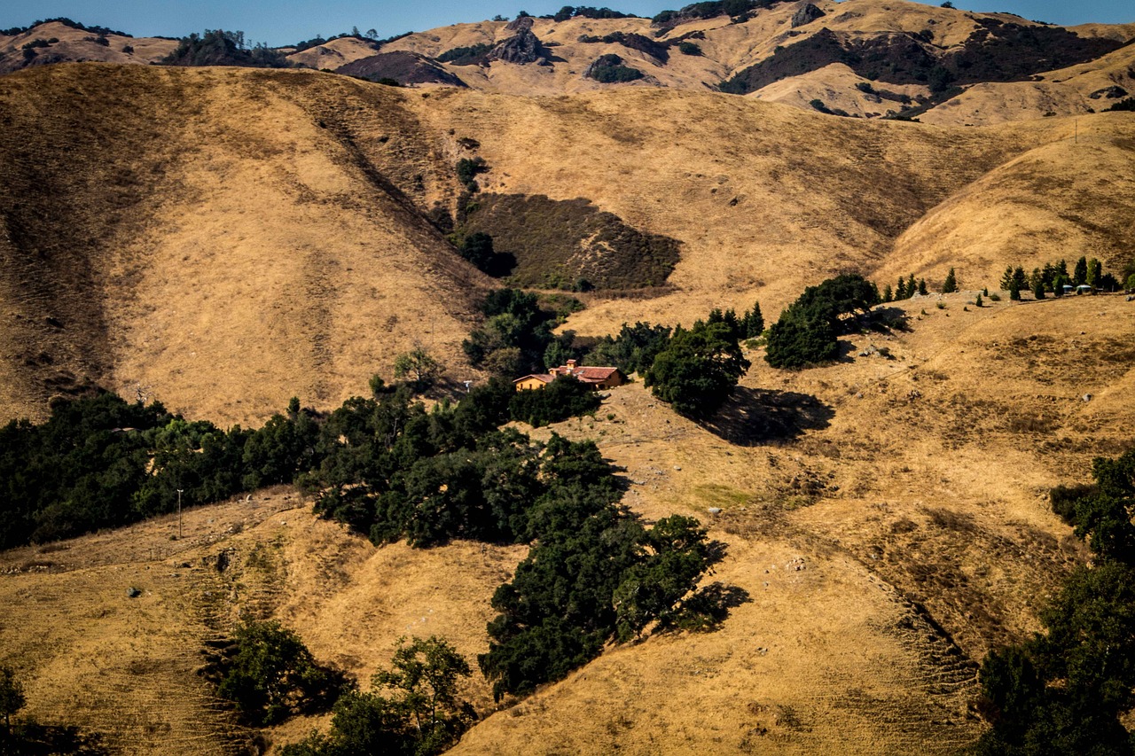 灵宝三阳站最新动态，进展、影响及未来展望