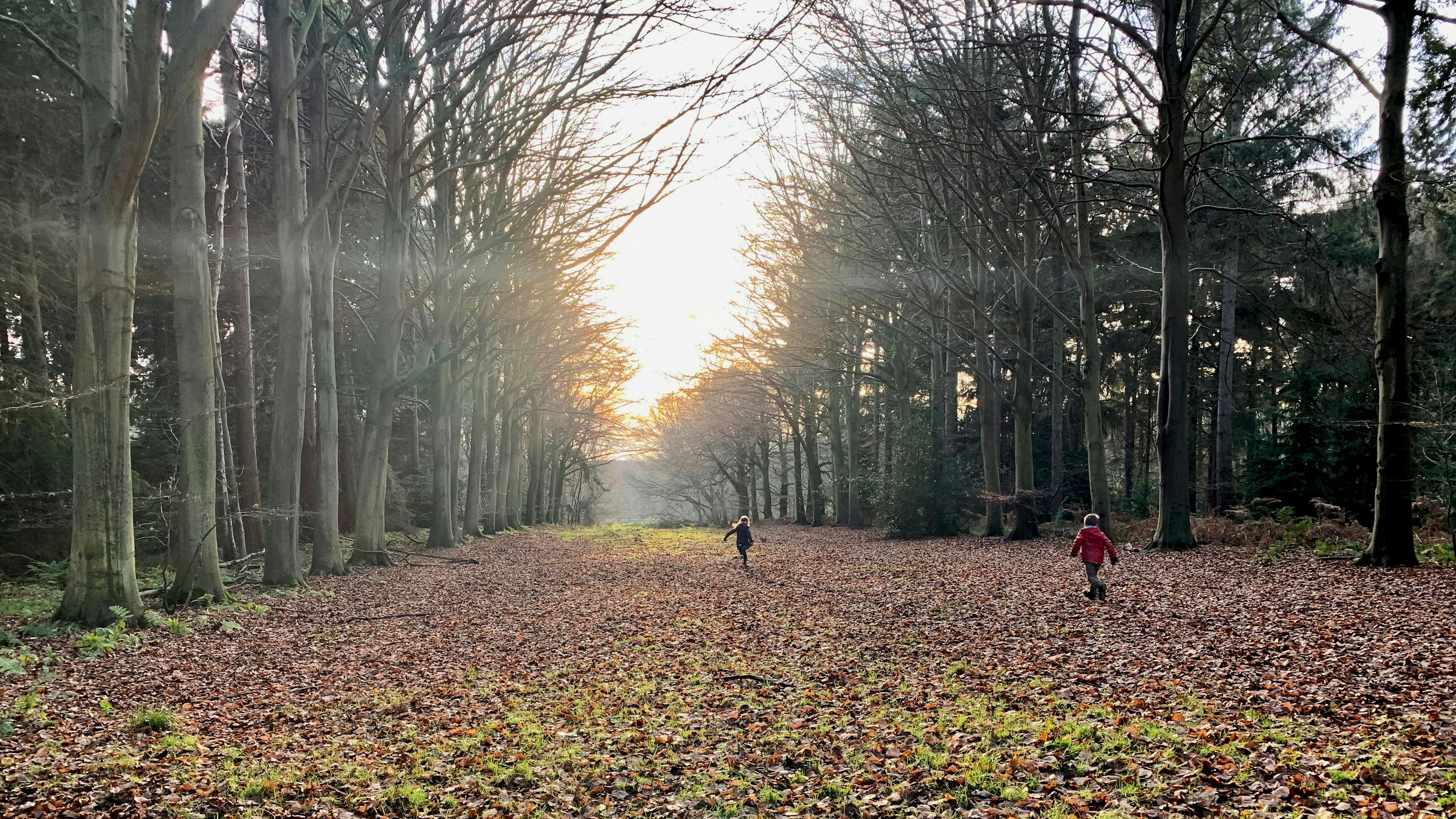 蓉姐引领时代风潮，新动态绽放生活精彩魅力