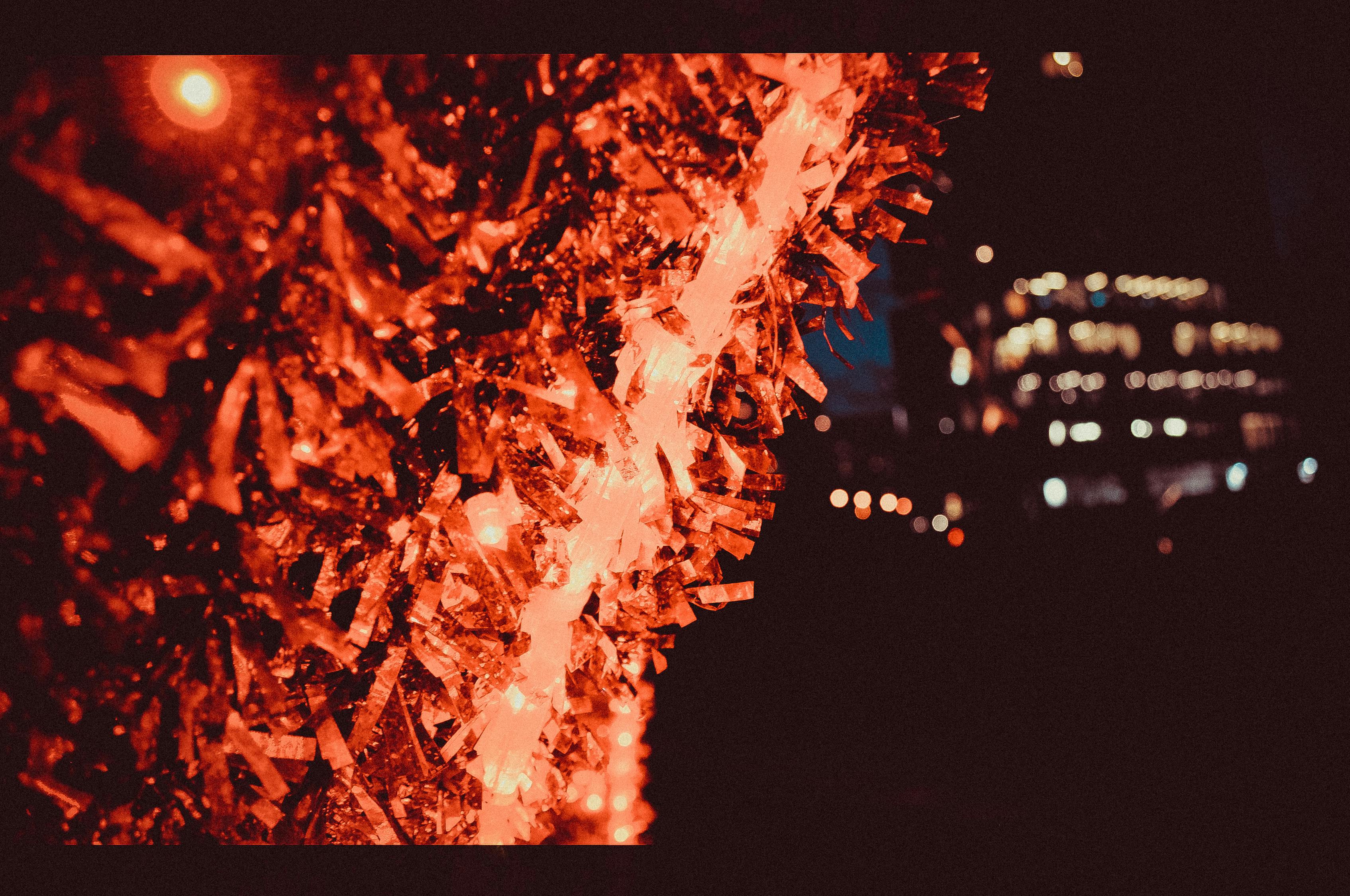 战火中的生存与挑战，烽火逃兵最新章节更新