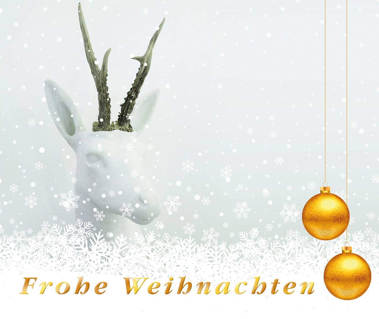 大连招聘信息最新动态，探索职业发展的黄金之地