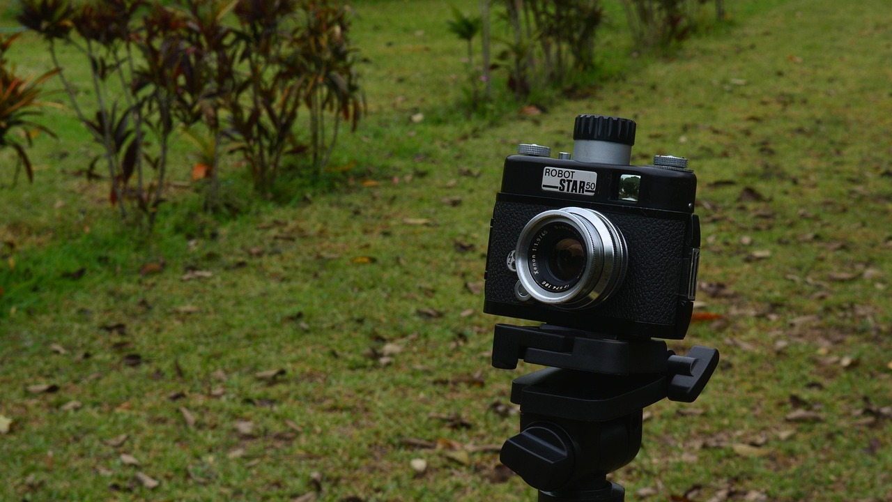 赛琳娜最新动态,璀璨星途引人瞩目