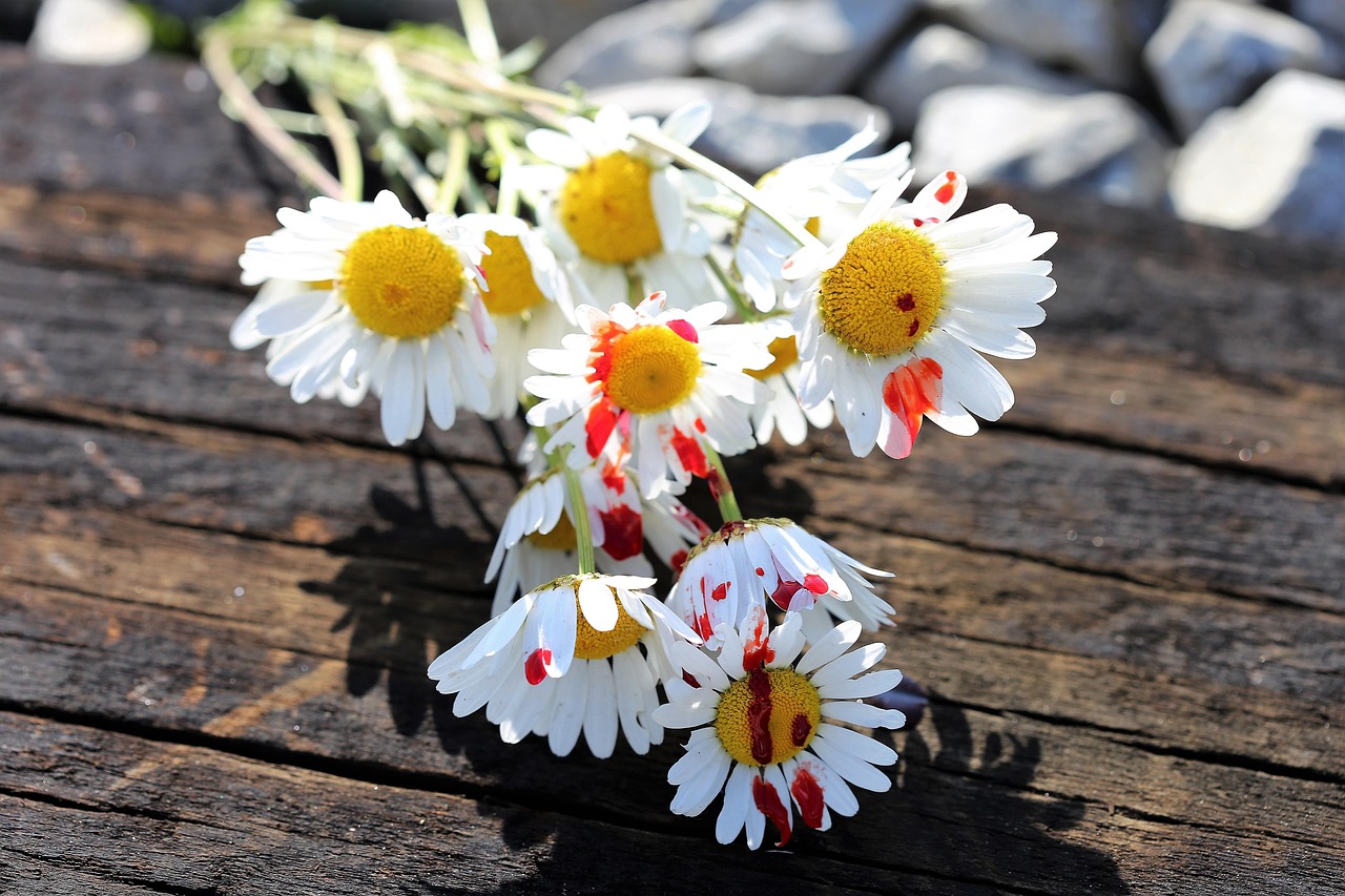 衡水中学最新动态，展示创新教育理念与卓越成果