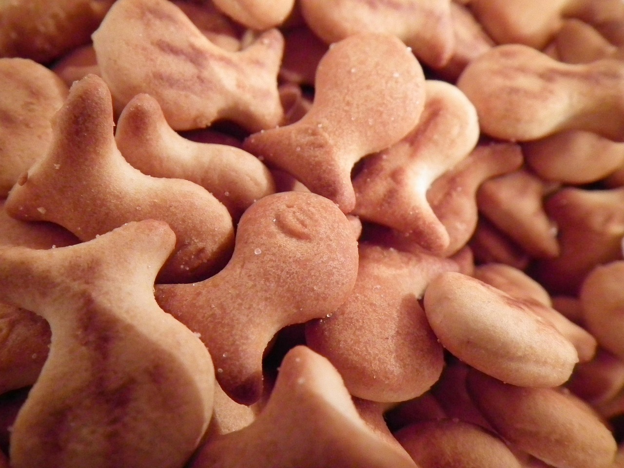 西咸新区最新房价动态及影响分析