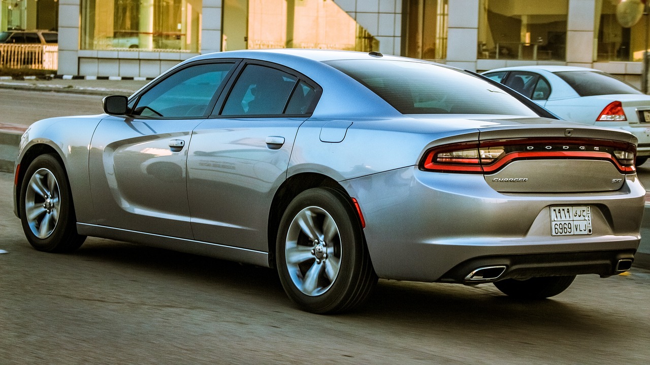 左肩蝶舞 第19页