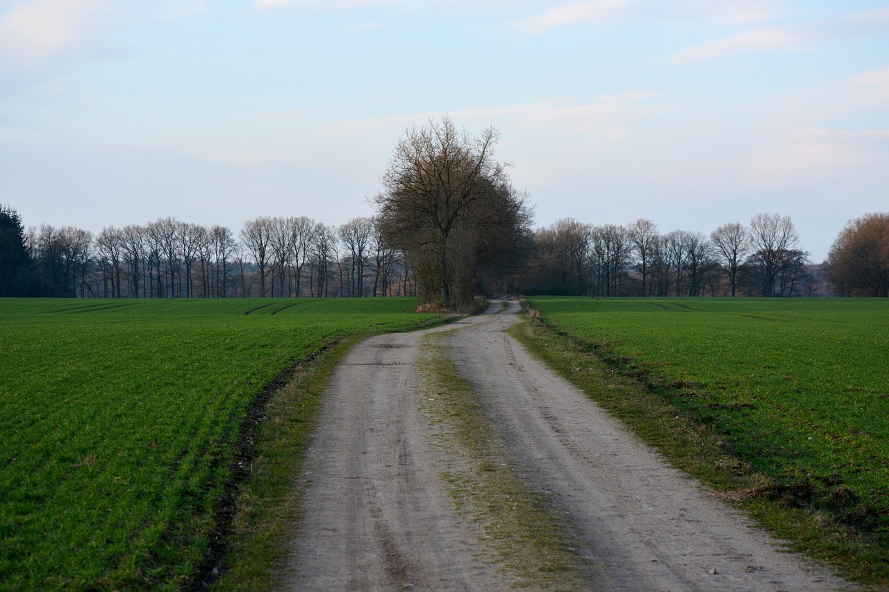 河沙村改造方案更新，重塑乡村风貌，推动可持续发展进程