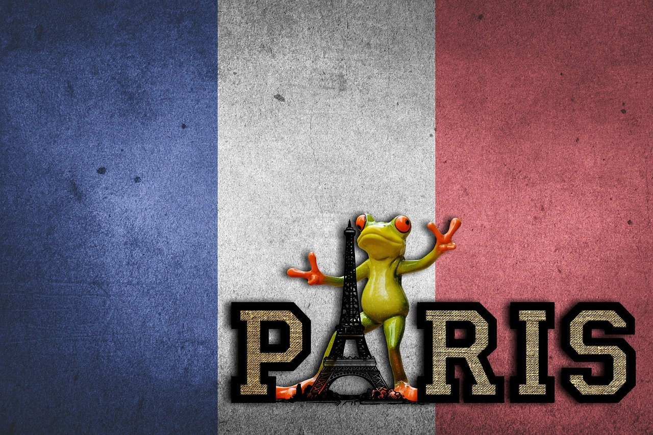 望月湖动态，城市自然生态与人文互动的和谐共舞