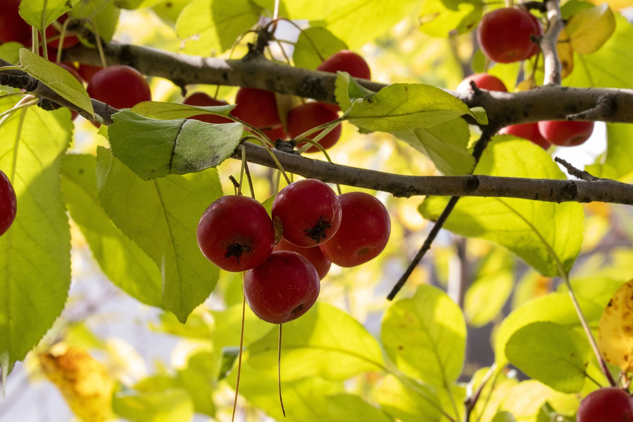 浅笑轻吟梦一曲 第18页