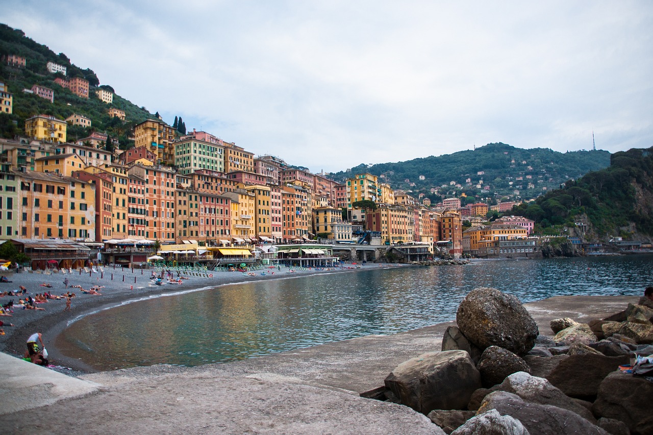 最新散襄军动态消息