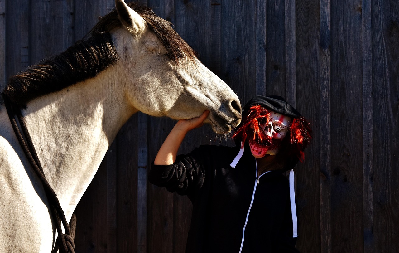 血与骨，演员阵容与角色深度解析