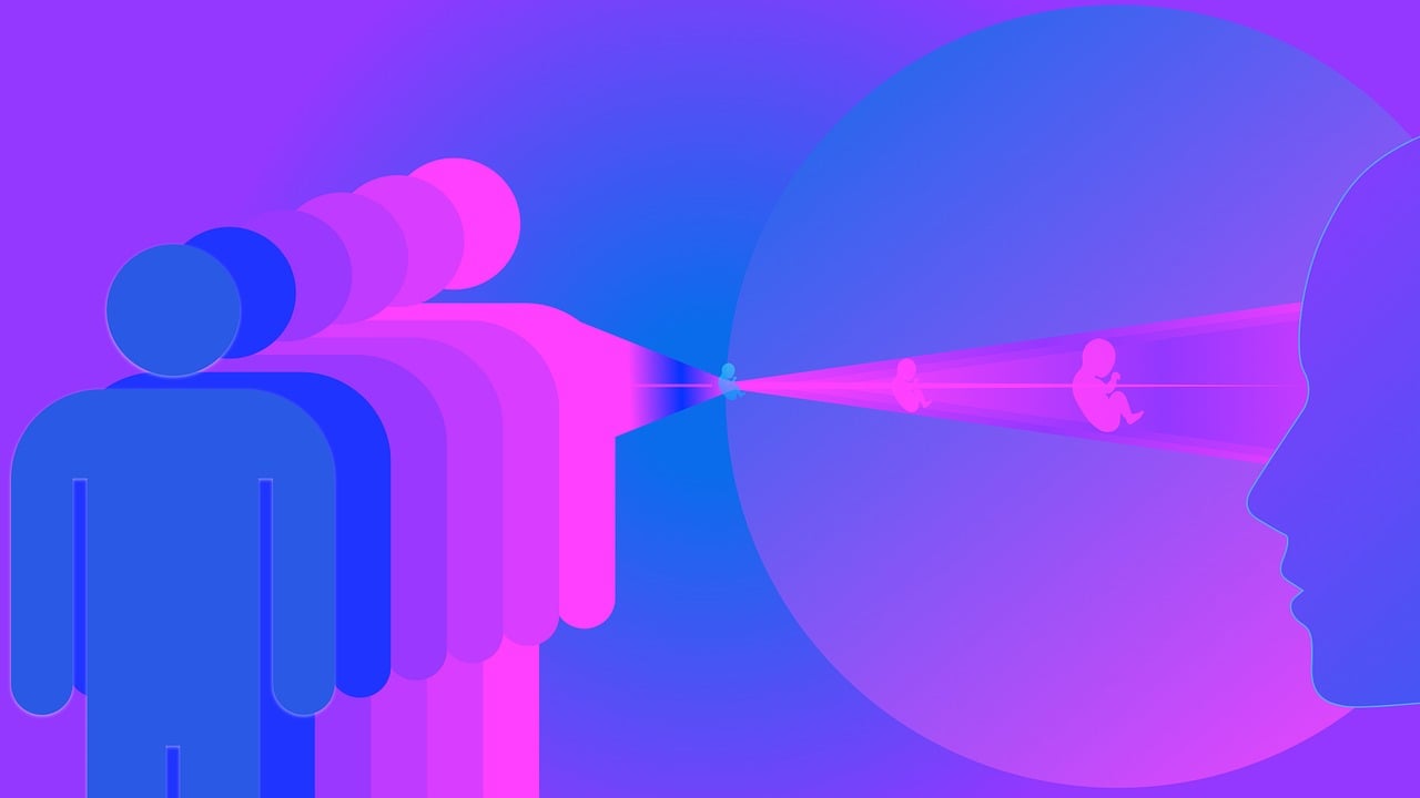 北神卡最新资讯，引领数字世界的未来动态