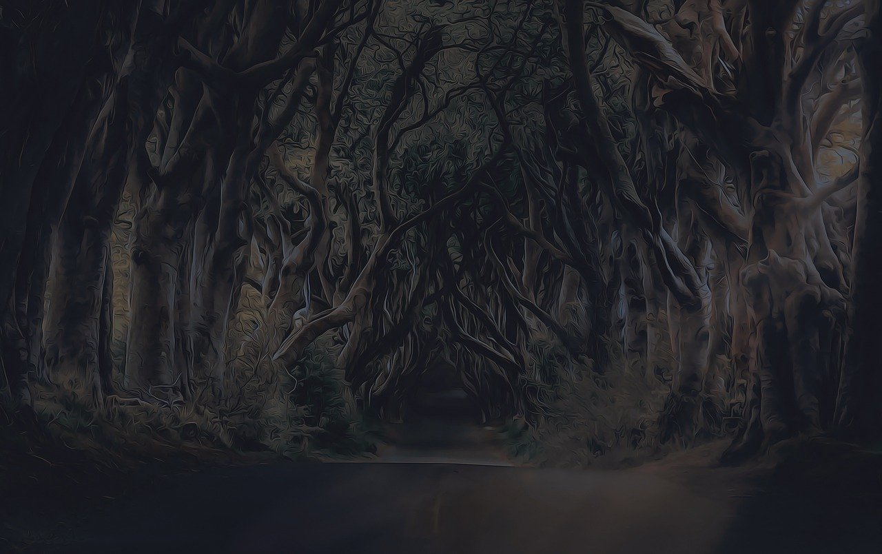 太荒吞天诀最新篇章,神秘修炼之路探索