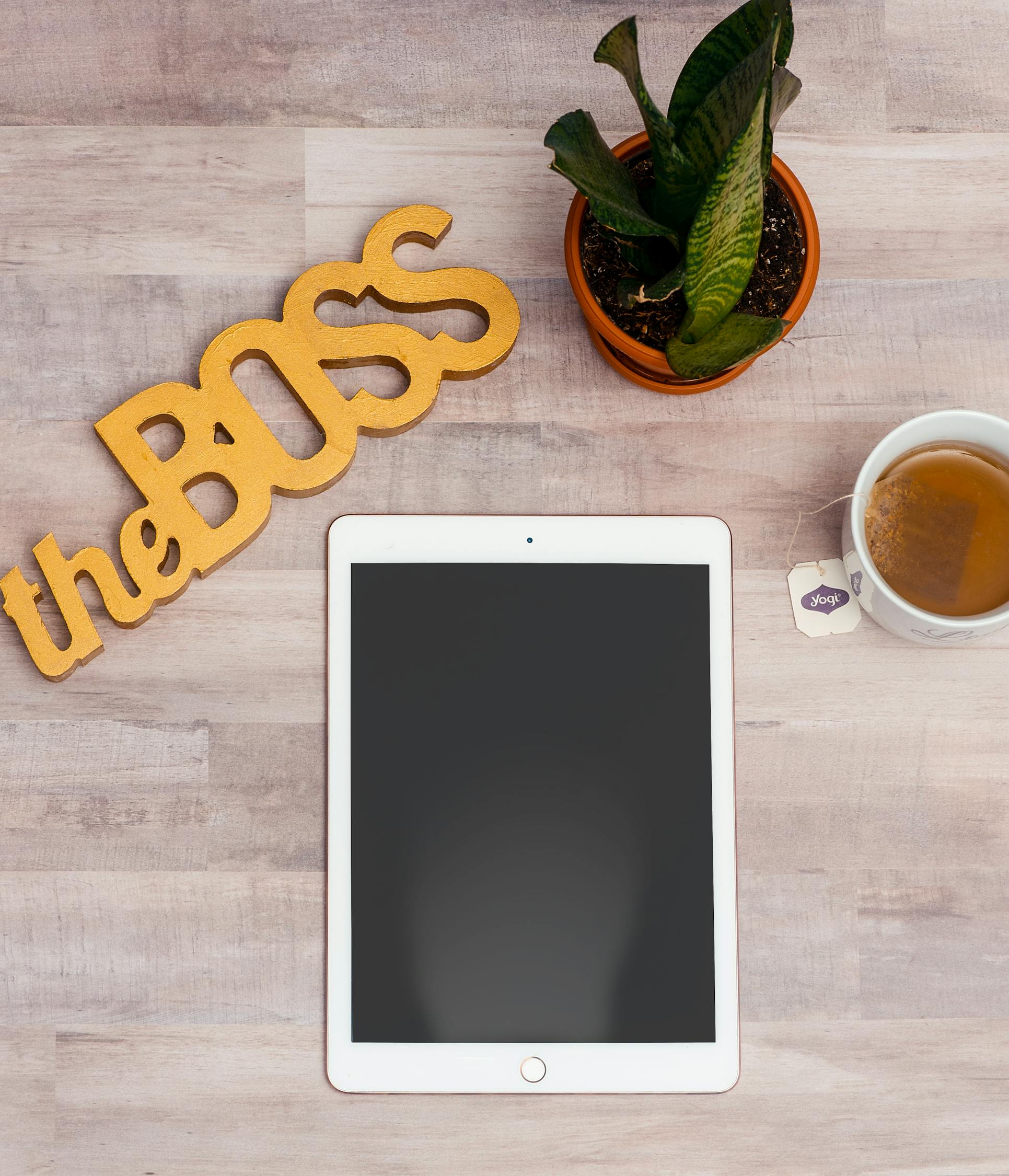 三生三世枕书最新动态深度解析与前瞻报道