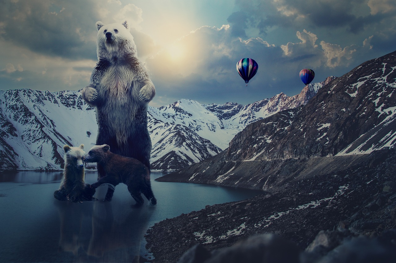 新动漫网，开启数字娱乐新纪元探索之旅