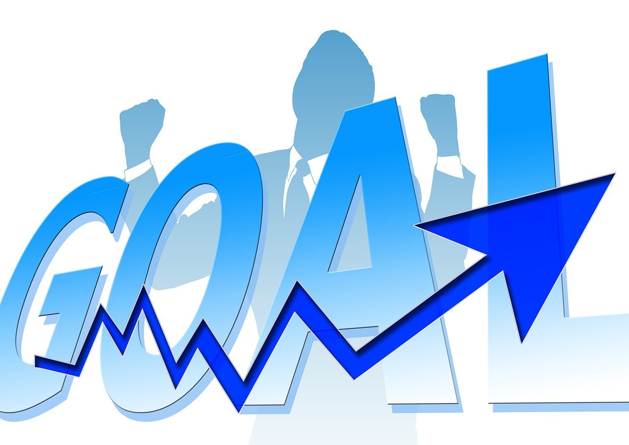 西兰花价格最新动态,市场行情及分析