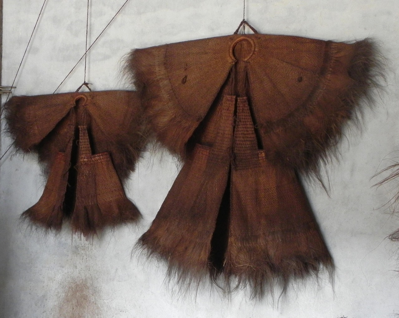 探索鸭类产业最新动态与发展趋势资讯速递