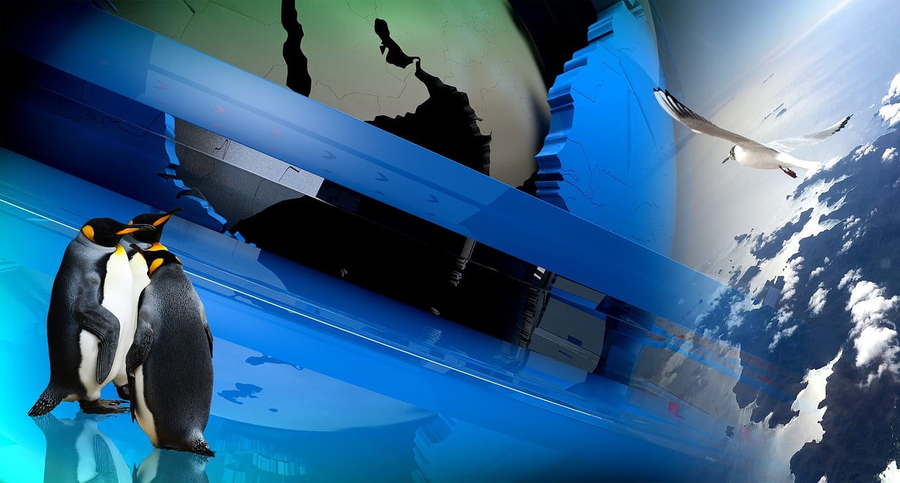 探索免费观影新世界的最新免费电影下载！