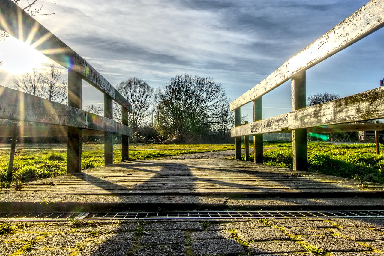 蔡妍2017年最新动态揭秘，音乐与影视界的耀眼明星风采