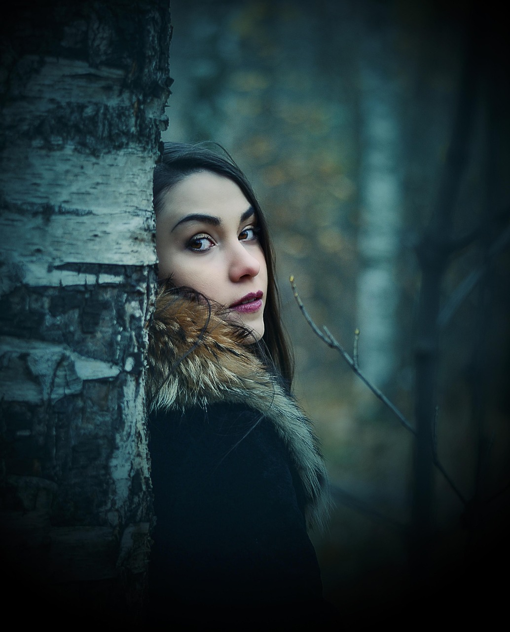 搜神传演员表揭秘，探寻神秘世界角色魅力之旅