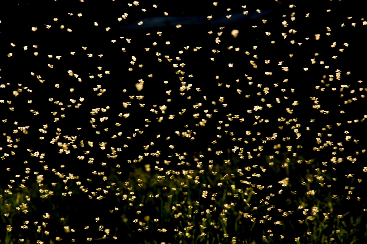 2015年度夜生活精选回顾与展望，精彩瞬间，未来展望